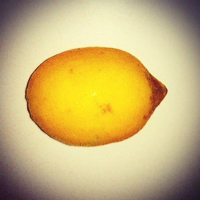 limone from Instagram Polodegoma