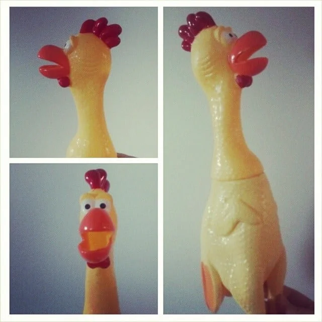 welcome home rubberchicken rubber chicken collection from Instagram Polodegoma