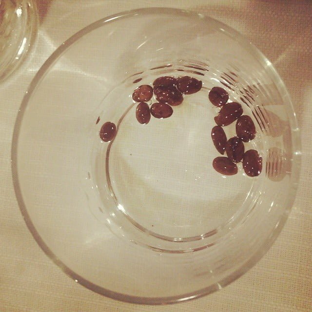 sambuca con la mosca fly samba from Instagram Polodegoma