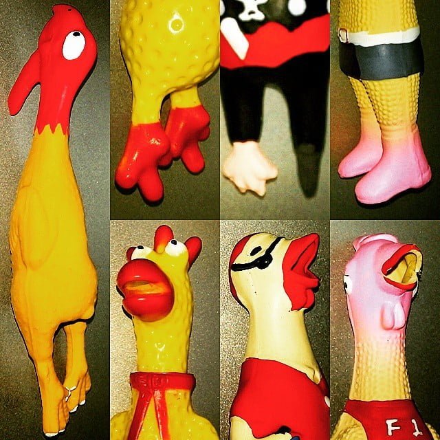 Pollidigomma, pollidigomma ovunque. Altri 4 pezzi per la collezione. pollodigomma rubber chicken rubberchicken pollo di gomma from Instagram Polodegoma