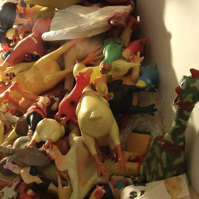piΓΉ polli per tutti pollodigomma pollidigomma rubberchicken rubber chicken collection collezione from Instagram Polodegoma