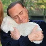 Lo sciacallo e l&039;agnello