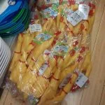 Una cara amica mi segnala questo scempio!allevamentiintensivi di polli di gomma.Senza rispetto per le esigenze di quei poveri animali che vendono presi, fatto viaggiare in container senza prese d&039;aria, stipati in sacchetti di plastica a loro volta chiusi dentro a scatoloni.E sapete che fine fanno? Nella maggior parte dei casi finiscono in bocca a violento cani che lo sbranano.Salva anche tu un pollodigomma, mangia vegan  non gomma. Basta violenza sugli animaliAdotta un pollo anche tu.rubberchicken rubber chicken pollidigomma pollo di gomma animals wwf savethechickens sciechimiche vegano