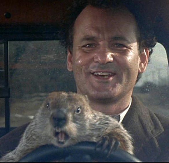 Happy marmotday billmurray marmot marmotta 2feb Punxsutawney Pennsylvania grounghogday