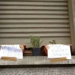 Davanzale, primo piano, sulla strada.ladri di piante  vergogna shameless shame milaneseimbruttito milano