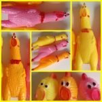 Ciao, siamo 168, 168 e 170.Sembriamo uguali a tutti gli altri pollidigomma ma non è così, ci distinguiamo per colori ed altezza, 17 centimetri.pollodigomma rubberchicken pollo polli gomma rubber chicken rubberlover collezione collection